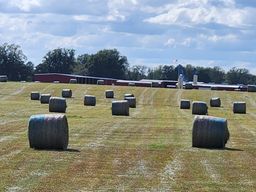 Hay%20rolls